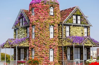 Dubai Miracle Garden Tickets